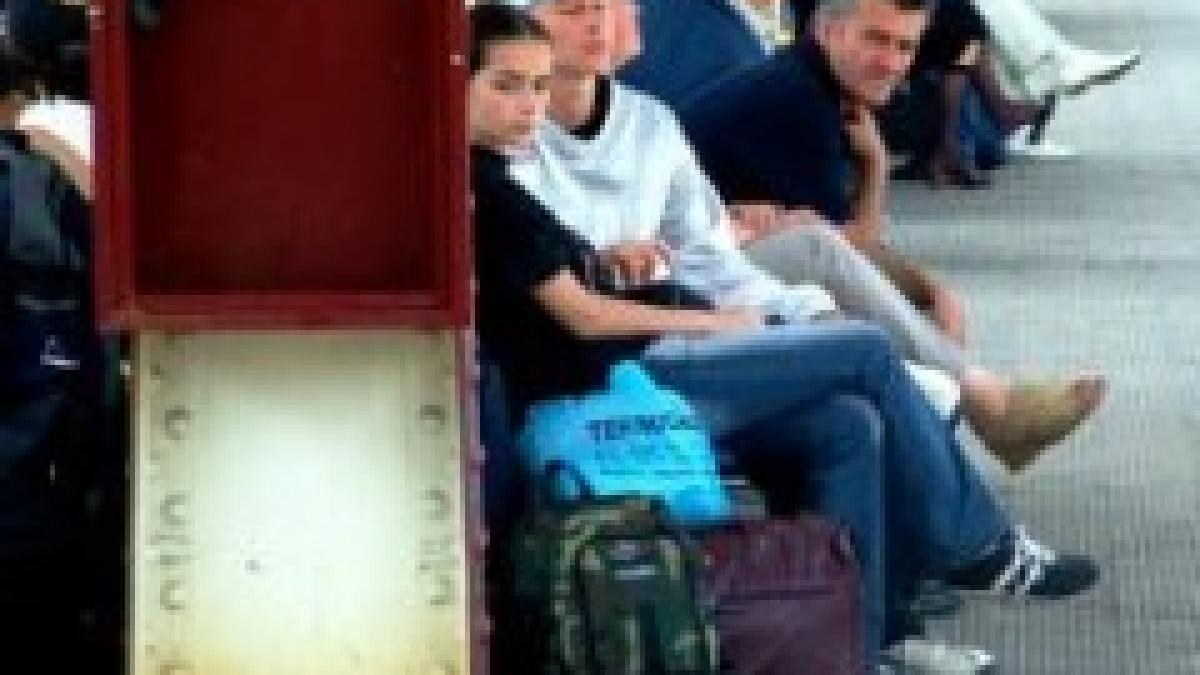 hunedoara sase trenuri oprite din cauza unei macarale