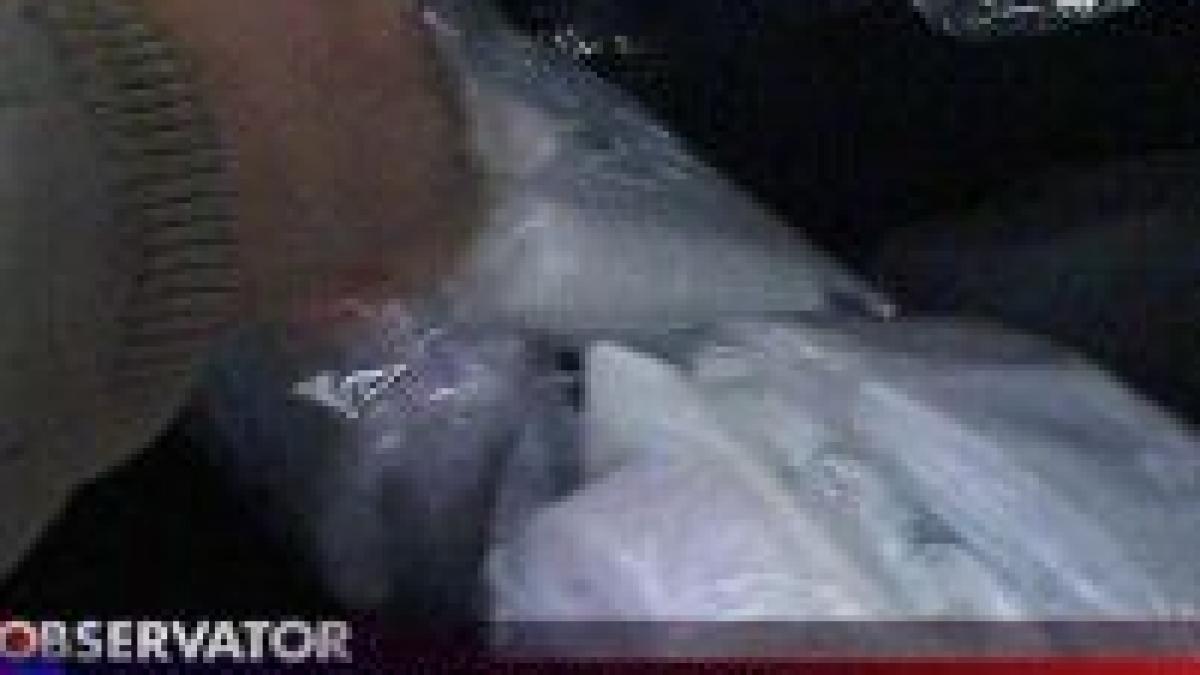 un argesean s a infectat dupa ce a folosit trusa de prim ajutor din dacia sa