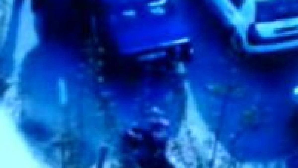 videonews ro reglare de conturi intre doi soferi aflati in trafic