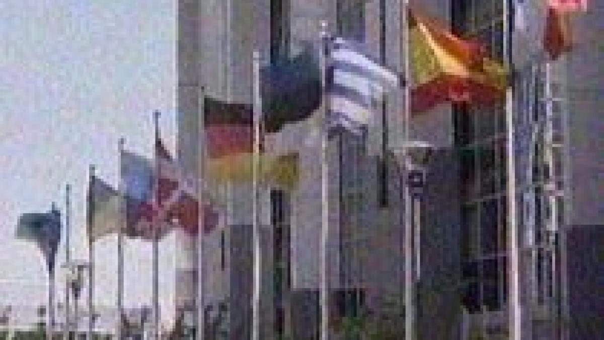 imigrantii supercalificati vor primi carte albastra si salariu minim garantat in ue