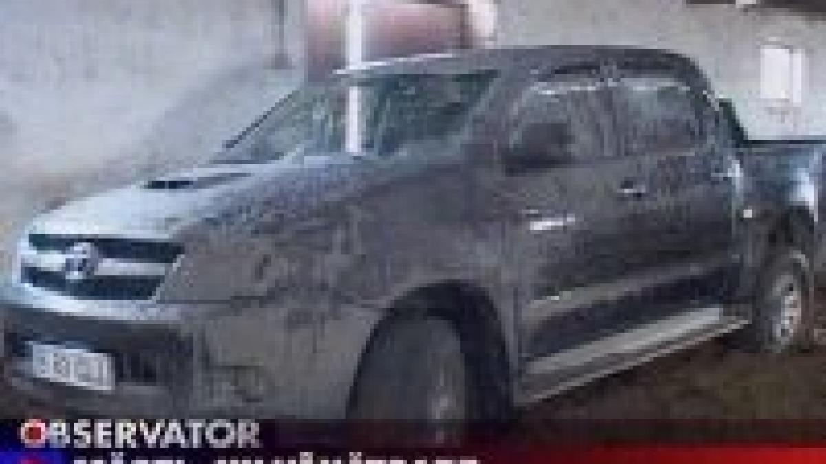 vanatoare de tip safari la arad opt cerbi lopatari impuscati de braconieri