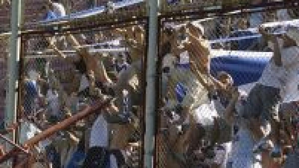 un suporter argentinian a murit dupa ce a fost injunghiat la un meci de fotbal