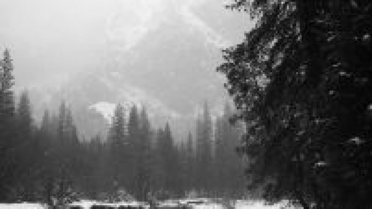 25 de grade celsius la intorsura buzaului vezi prognoza meteo pe urmatoarele zile