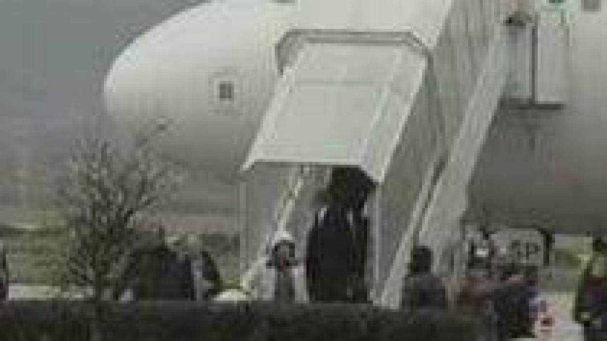 as roma a ajuns la cluj napoca dornica de razbunare video