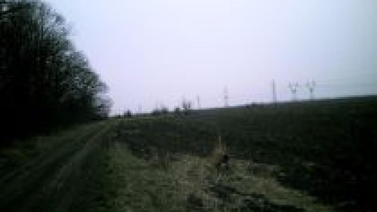 au incercat sa vanda un teren care nu era al lor trei escroci prinsi in flagrant in ilfov