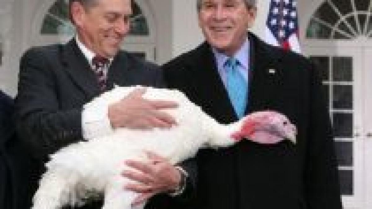 george w bush pastreaza traditia a gratiat doi curcani inainte de ziua recunostintei