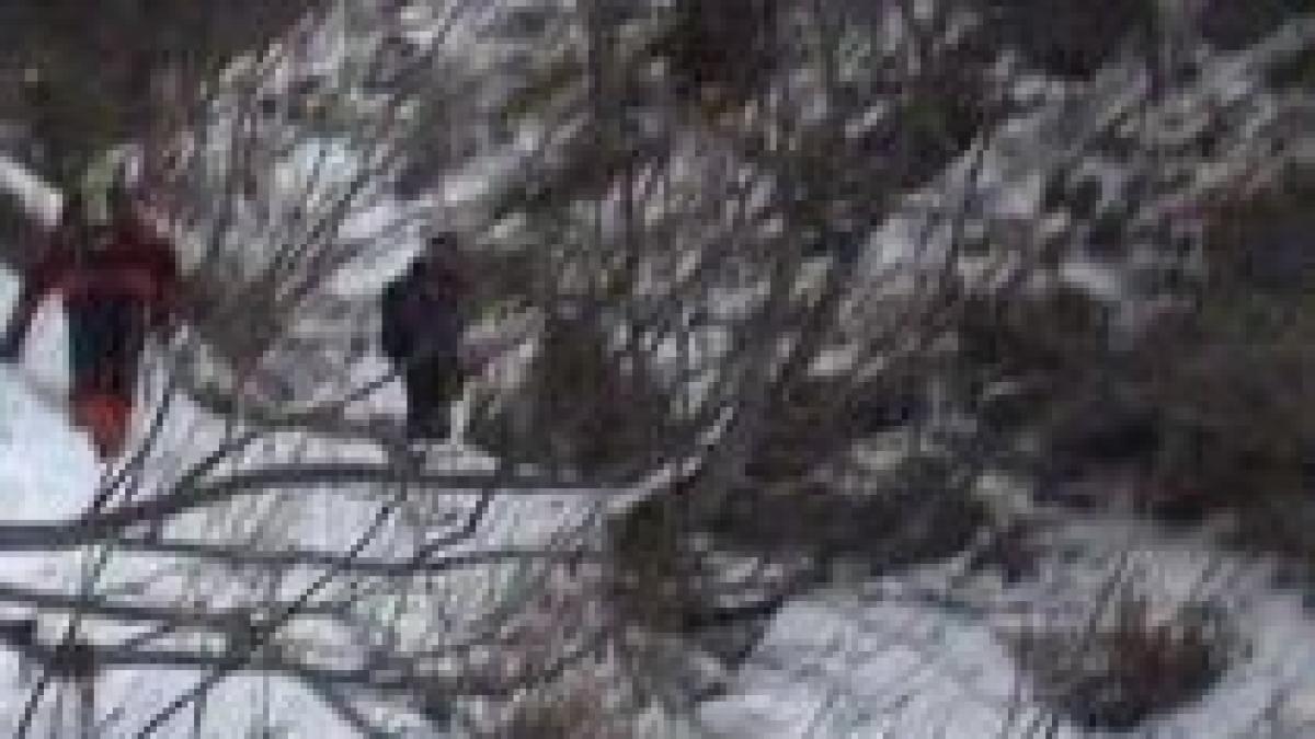 patru oameni sunt disparuti in muntii bucegi si rodnei