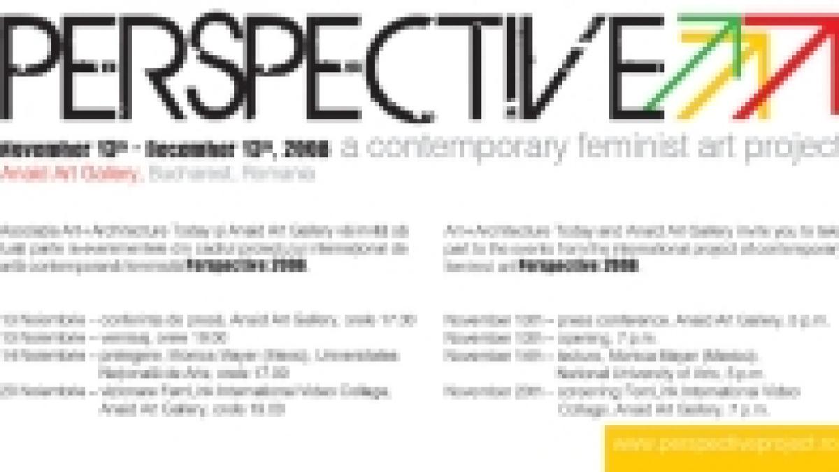 perspective 2008 primul proiect international de arta contemporana feminista