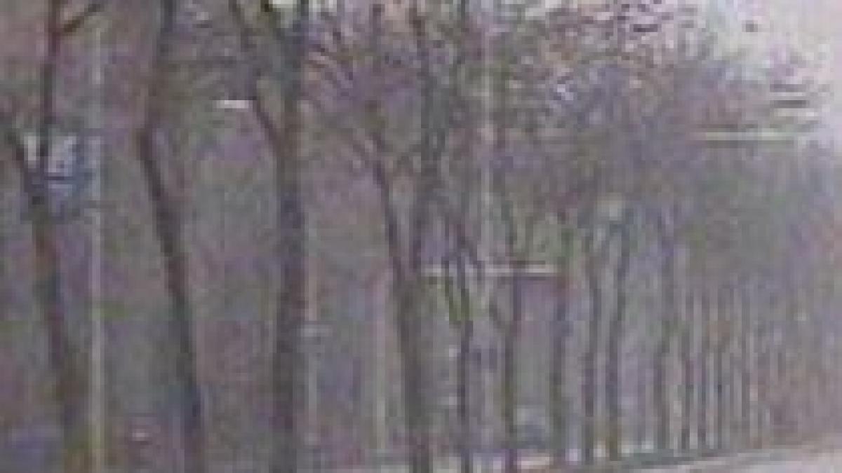 iarna pe ulitele capitalei in bucuresti a inceput sa ninga joi