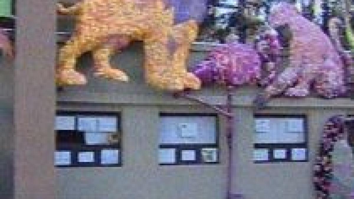 noua gradina zoologica a bucurestiului un parc de tip savana va fi gata in doi ani