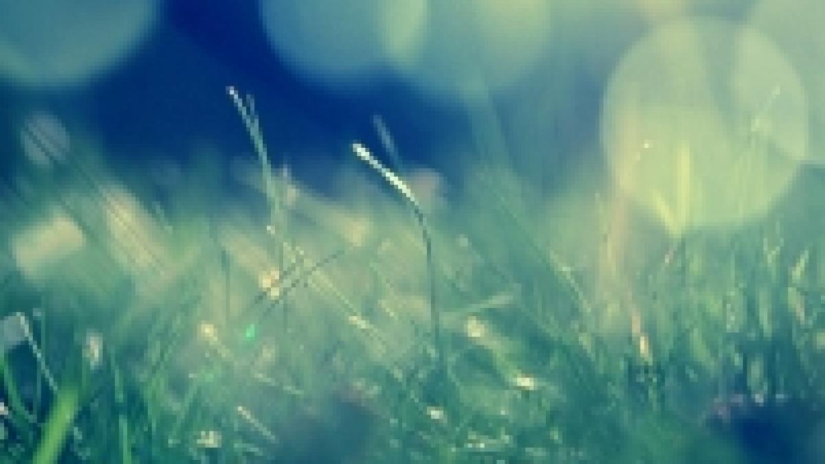 prognoza meteo de alegeri si ziua nationala vremea se incalzeste