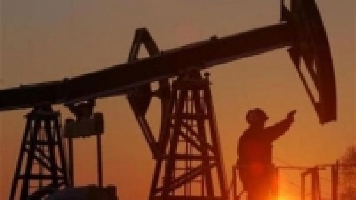 opec face eforturi pentru a stopa scaderea pretului petrolului