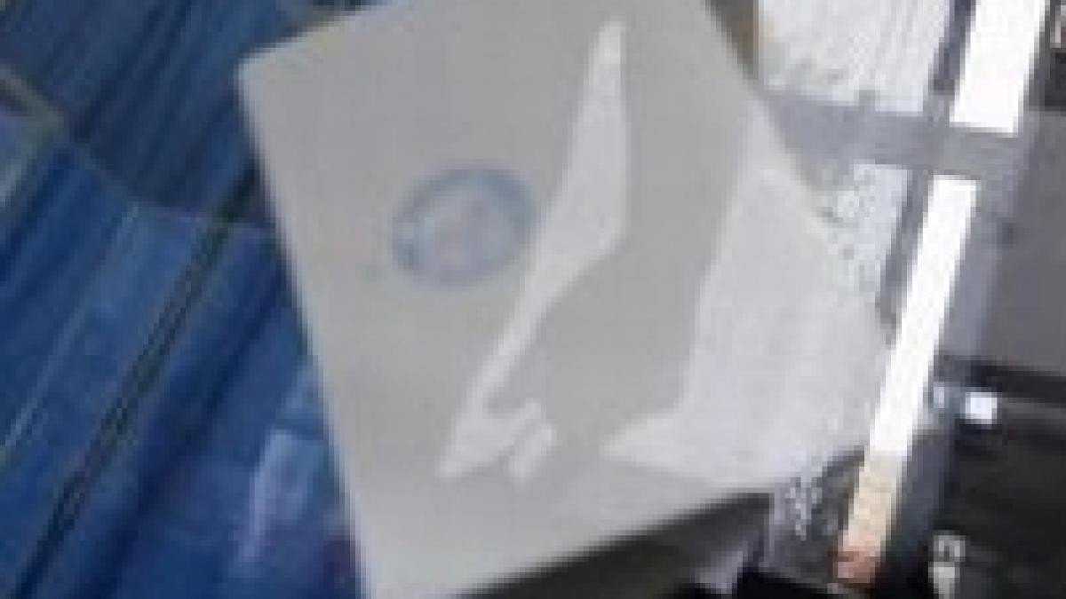 romanii din noua zeelanda primii votanti la scrutinul de duminica