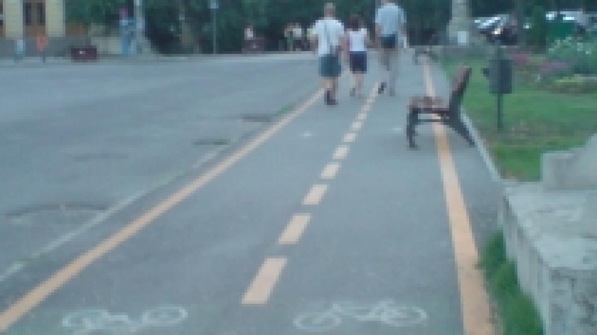 timisoara o femeie insarcinata si fiica ei de cinci ani accidentate pe trotuar