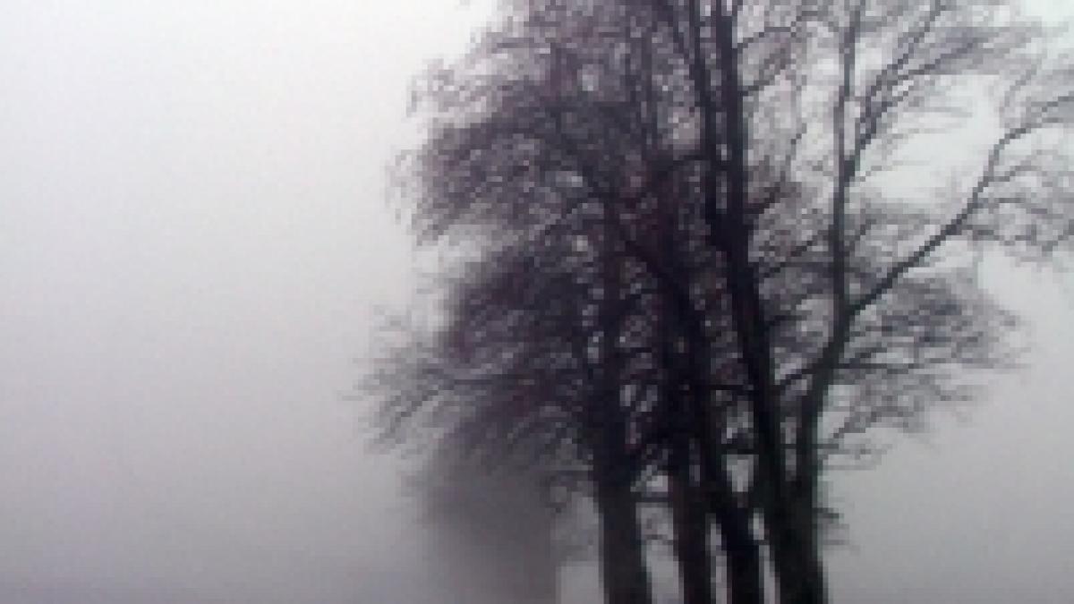 infotrafic ceata in ilfov braila suceava si prahova