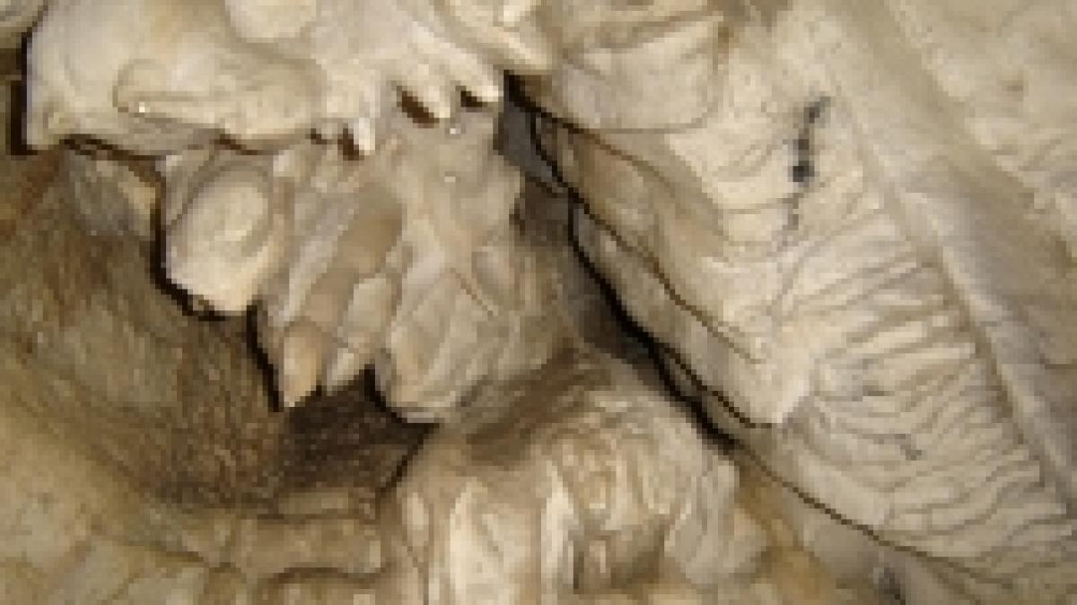 calauza pentru cautatorii de comori grav ranit de caderea unei stanci la arnota