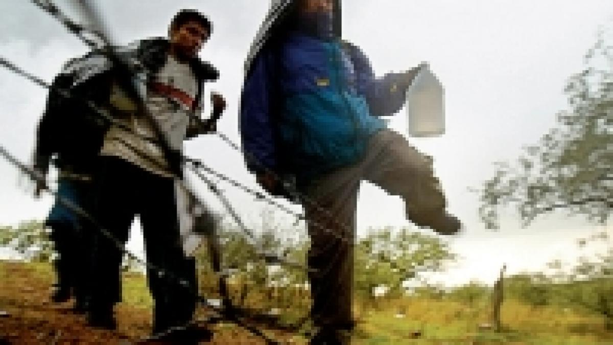 criza economica agraveaza imigratia ilegala