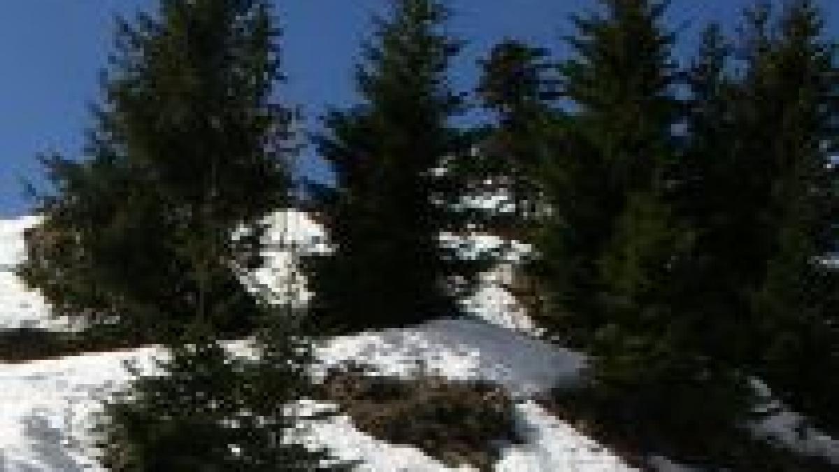 romanii prefera excursiile ieftine pentru sarbatorile din acest an