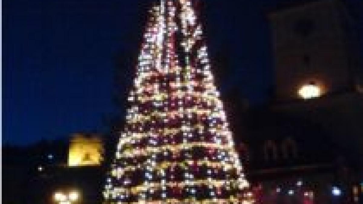 bradul din centrul brasovului s a prabusit foto