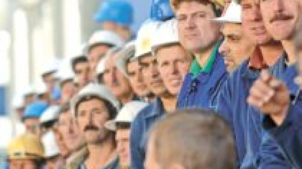 belgia ar putea extinde restrictia impusa muncitorilor romani si bulgari cu trei ani