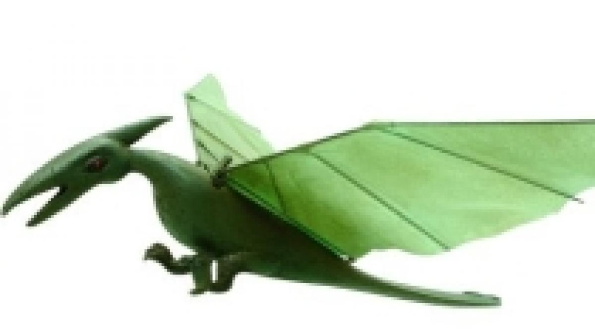 o specie noua de dinozauri zburatori descoperita in brazilia