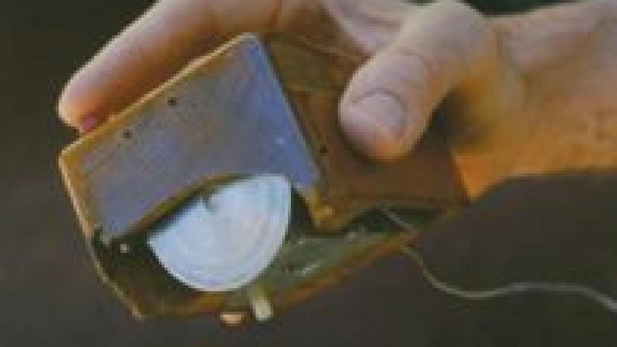 mouse ul aniverseaza marti 40 de ani