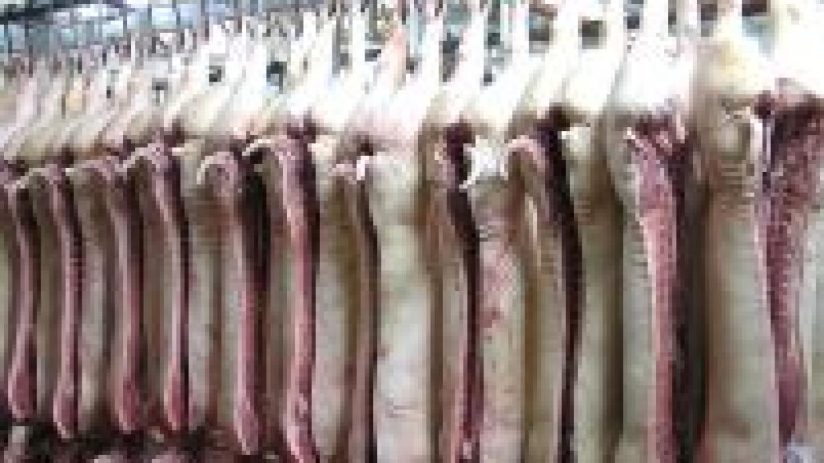 alte 500 de kilograme de carne de porc contaminata cu dioxina retrase de pe piata