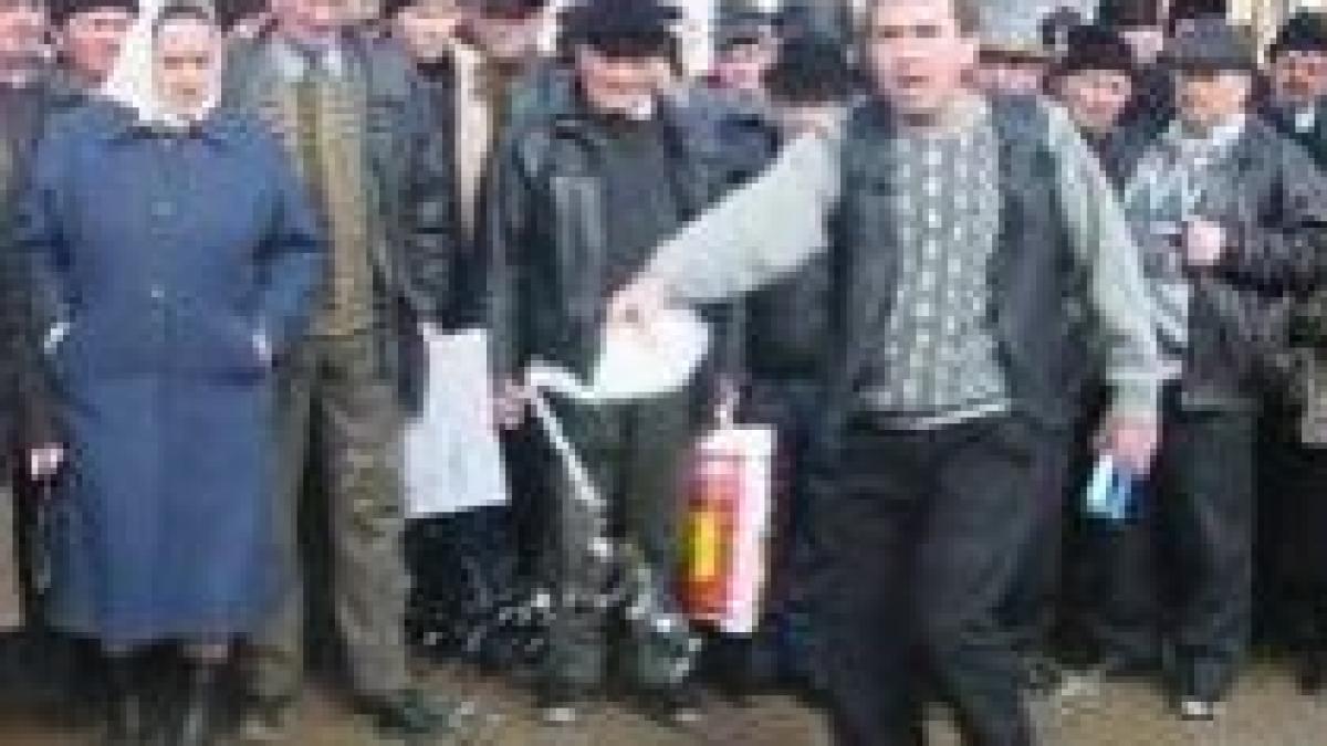 crescatorii de taurine vor picheta vamile nadlac varsand bors si petea