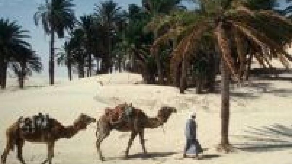 vacanta de iarna in locatii exotice iata ce pericole puteti intampina