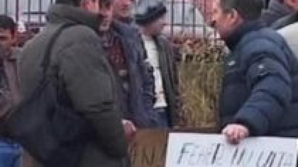 crescatorii de bovine au pichetat vama bors pentru a doua zi consecutiv