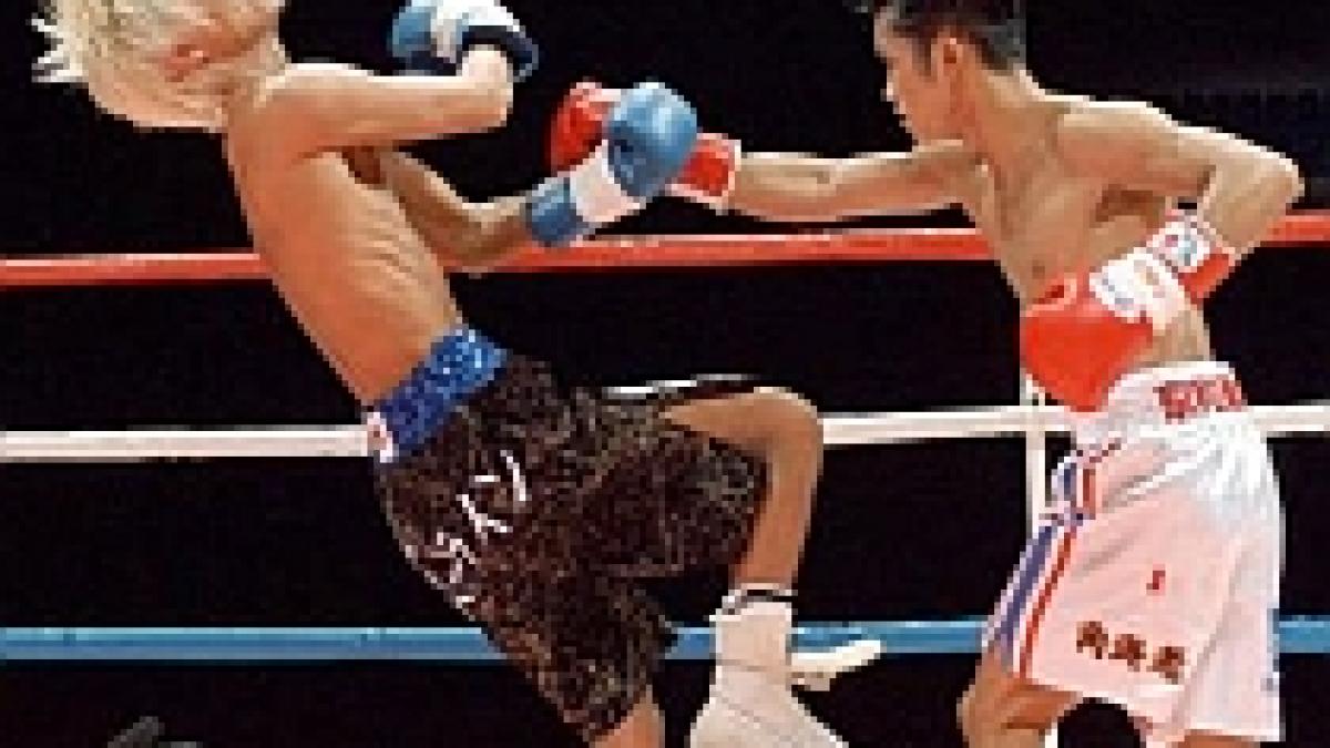 cele mai amuzante knockout uri video