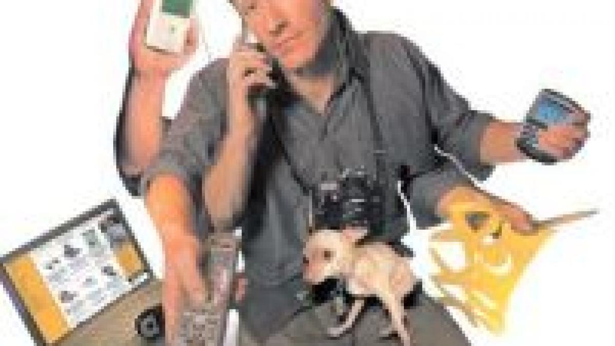 criza economica sansa de a avansa in cariera studentii romani impinsi peste hotare