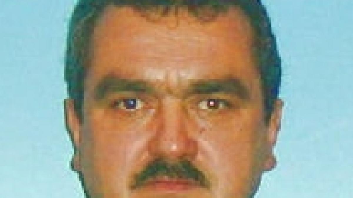 miron mitrea a incercat fara succes sa obtina functia de vicepresedinte al senatului