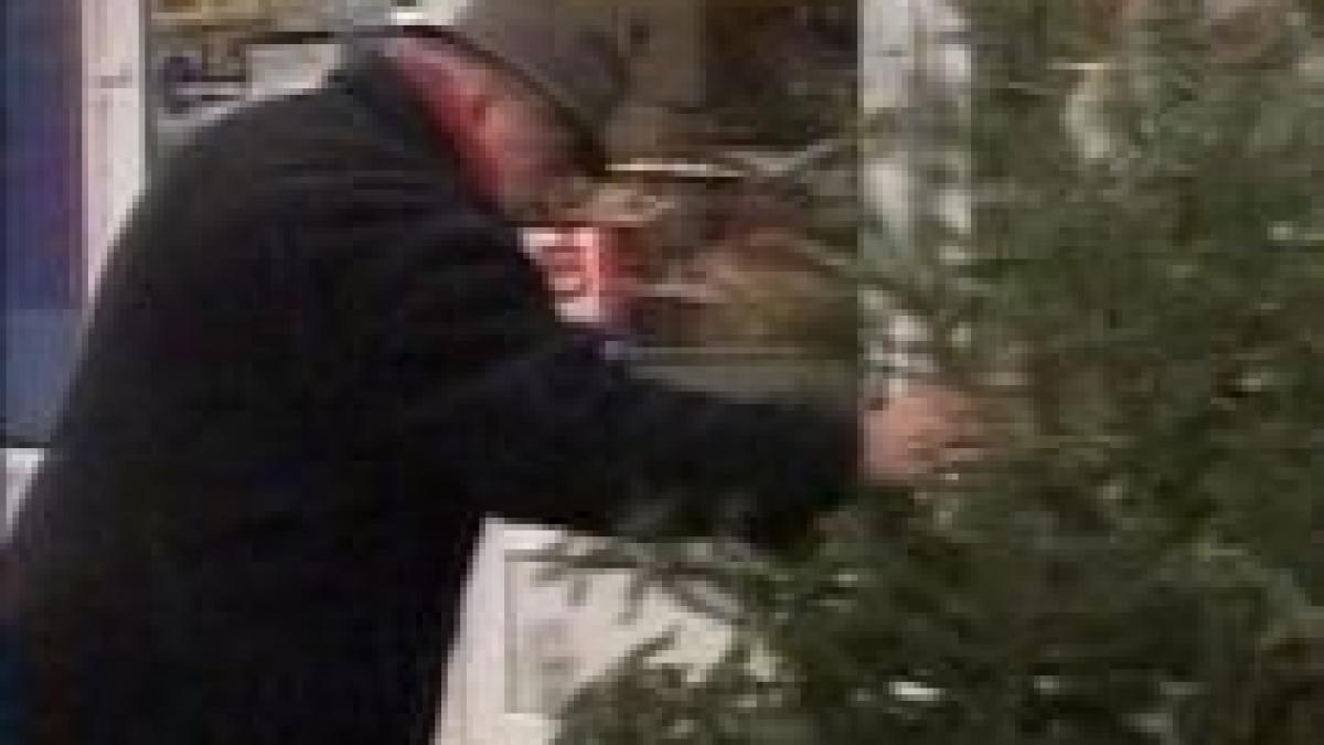 cat ne costa anul acesta bradul de craciun in bucuresti pomii ajung si la 300 de lei