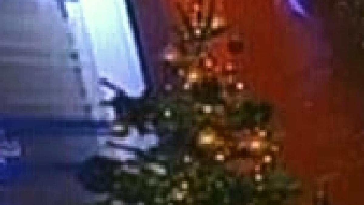 ajuta licitand globurile semnate de vedetele antena 3