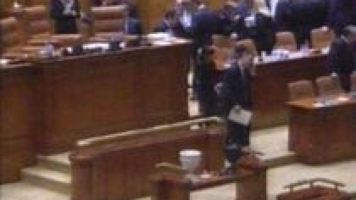 guvernul boc a trecut de parlament ministrii au depus juramantul in fata presedintelui