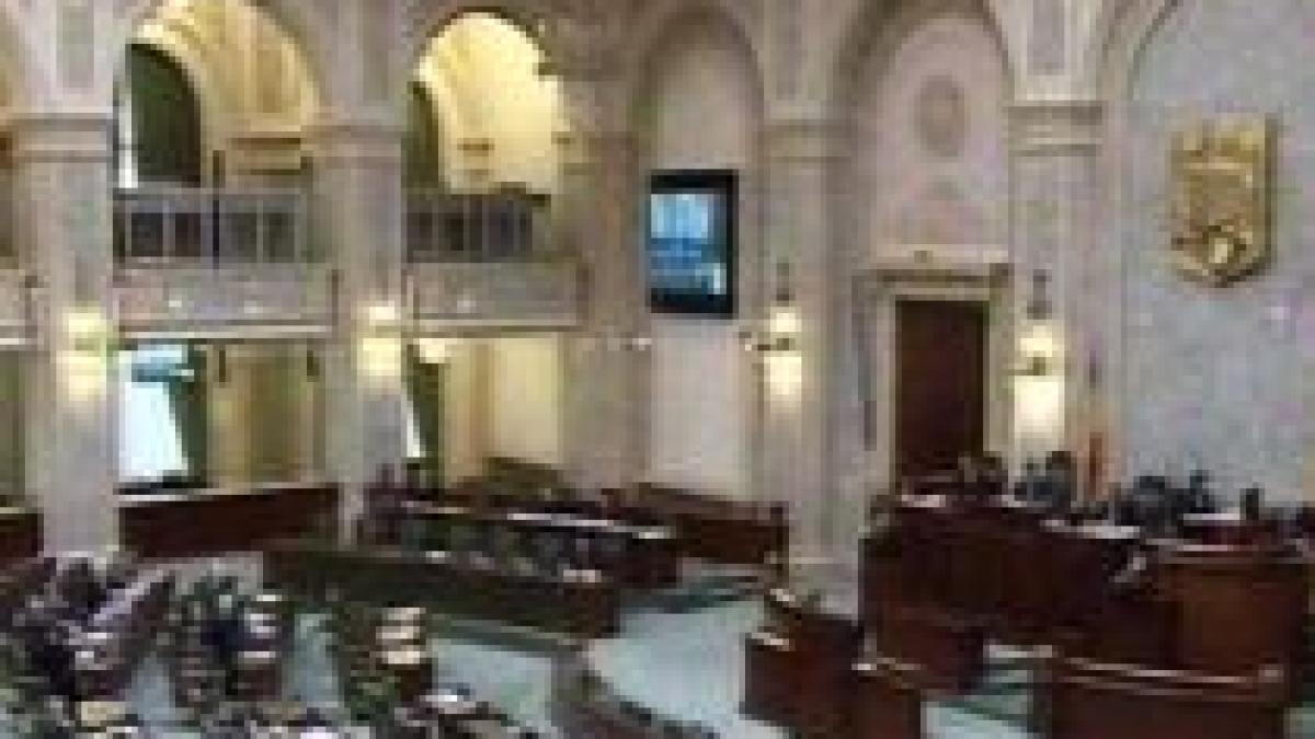 pnl a cerut amanarea investiturii noului guvern propunerea a fost respinsa