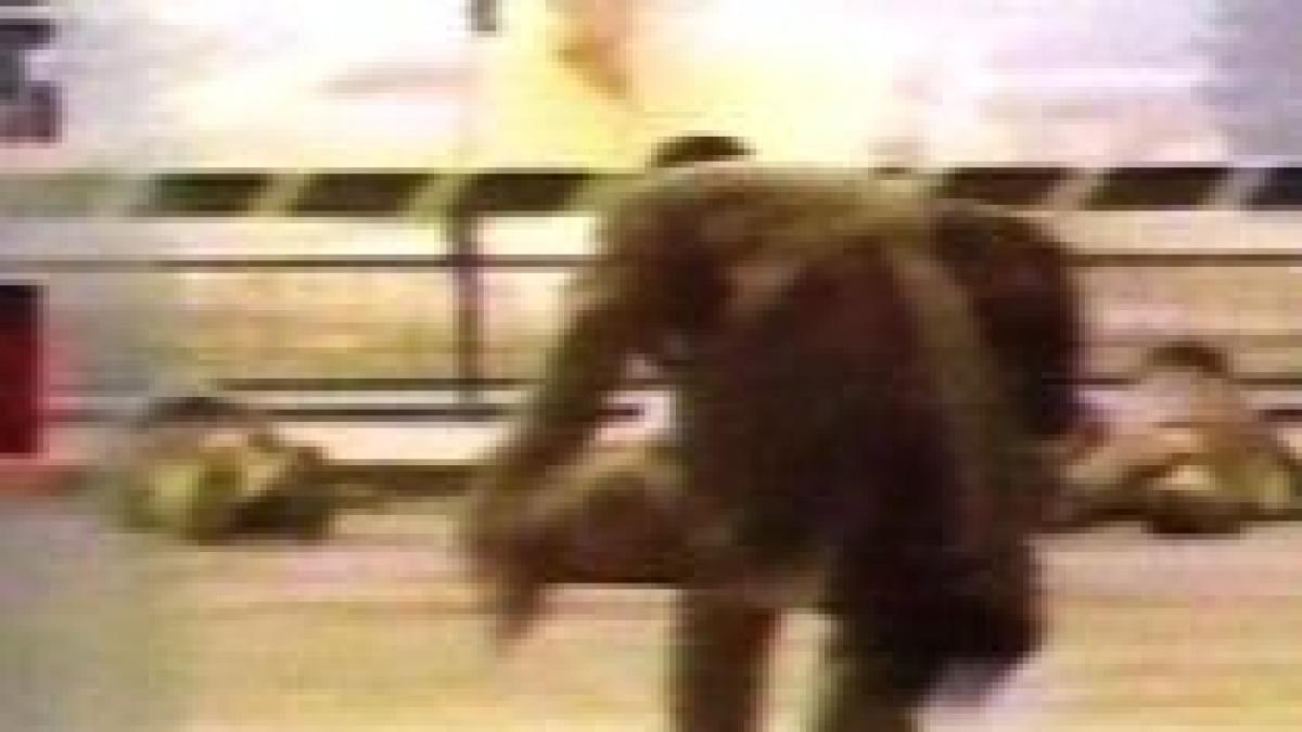 23 decembrie 1989 50 de soldati din campina ucisi in apropierea aeroportului otopeni