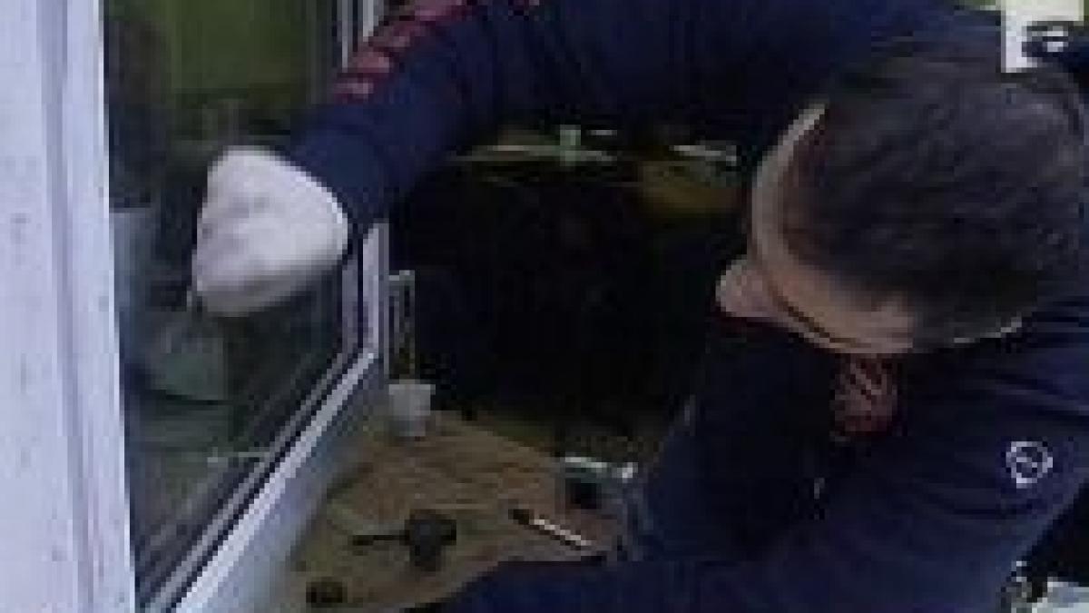 o banda de hoti a pradat politia comunitara din timisoara