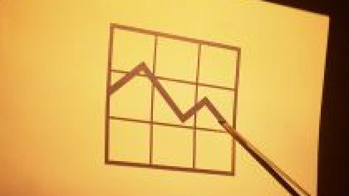 evaluare fitch crestere de 1 in 2009