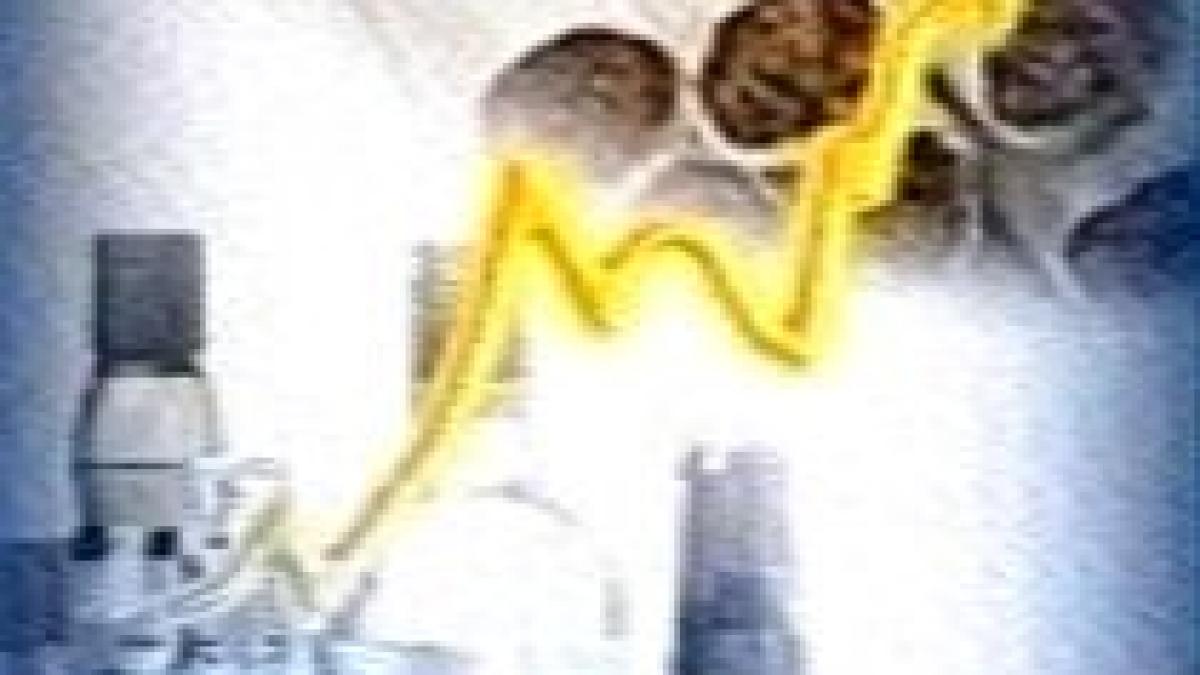 2009 va debuta cu scumpiri la alcool carburanti si electricitate