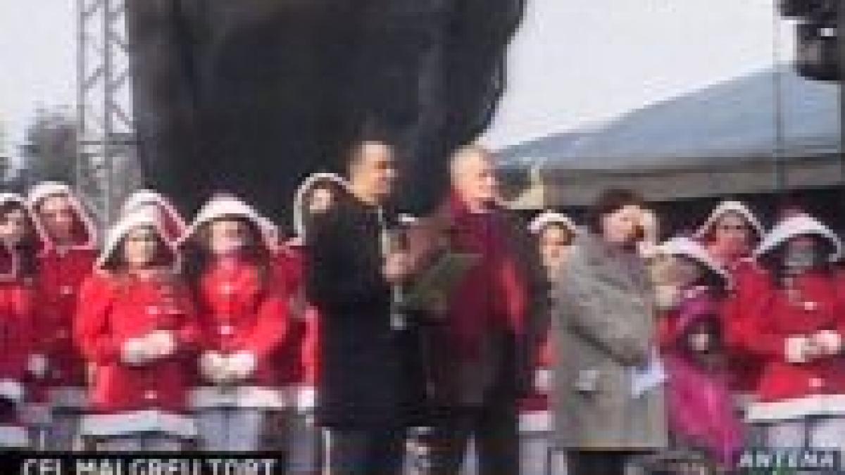 nou record guinness bucurestenii au cel mai greu tort cu frisca si fructe