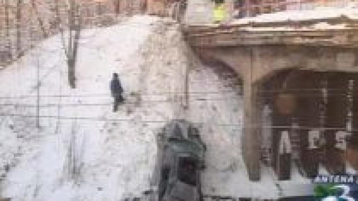 predeal soferul care a fugit dupa ce a ucis doua persoane a fost arestat