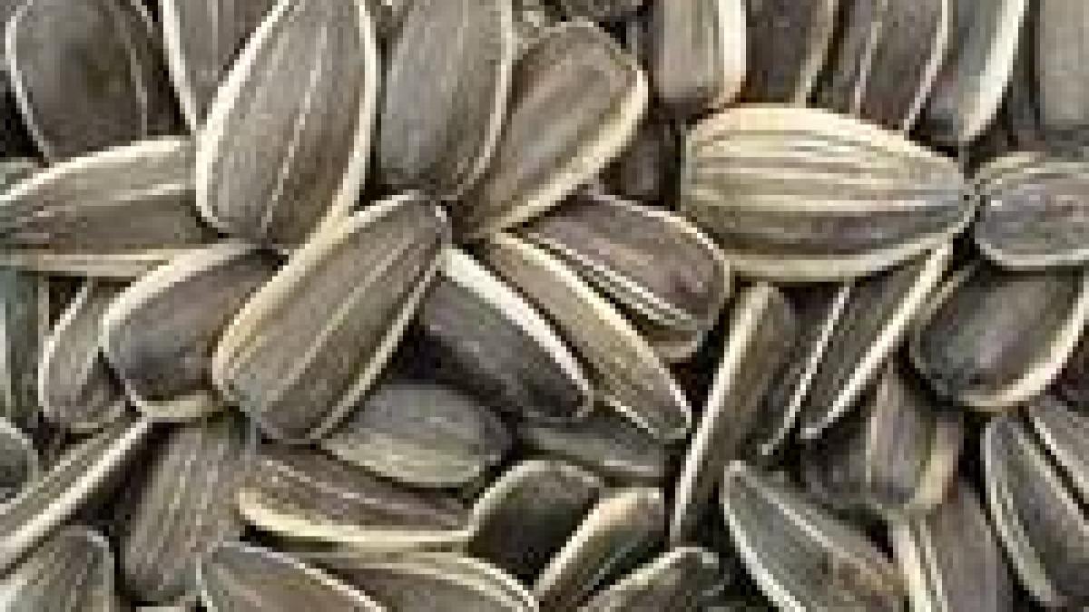 adevaratele minuni ale romaniei locul 5 seminte baeeeti seeeminte vindeeeem