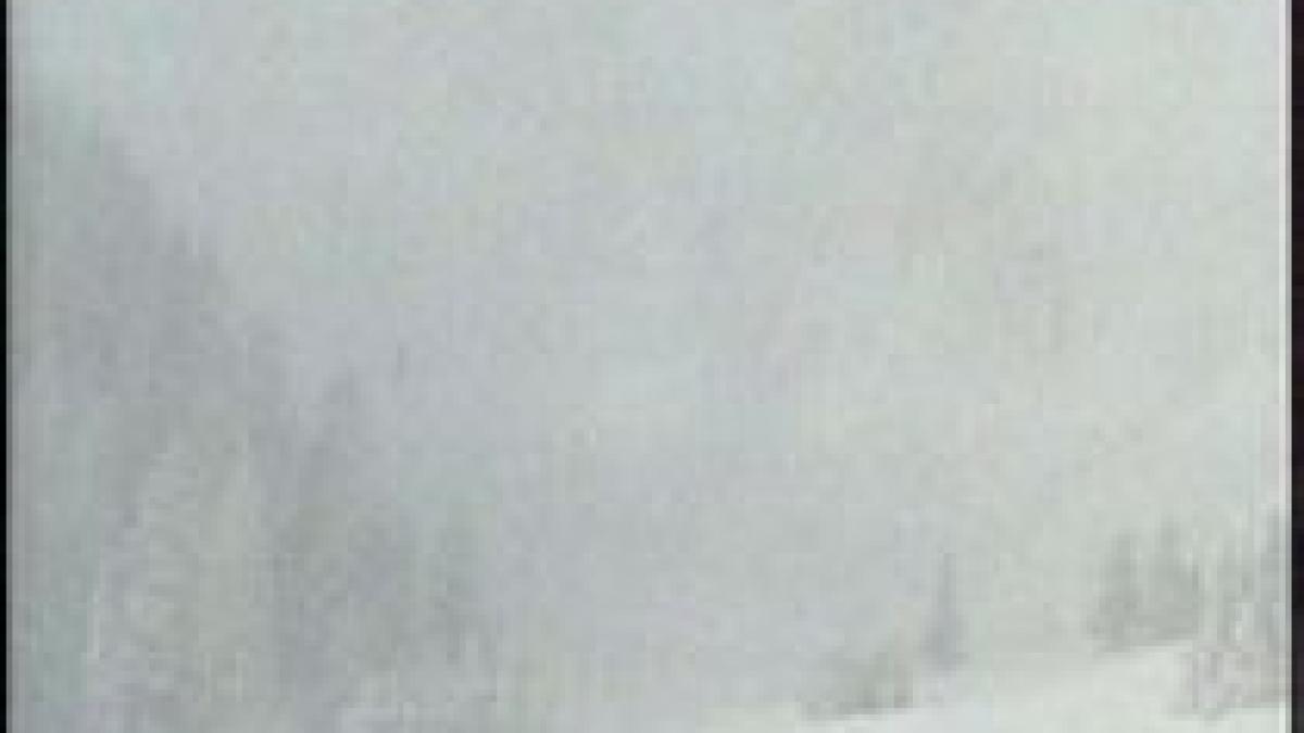 un canadian surprins de avalansa in urma cu trei zile a fost gasit in viata