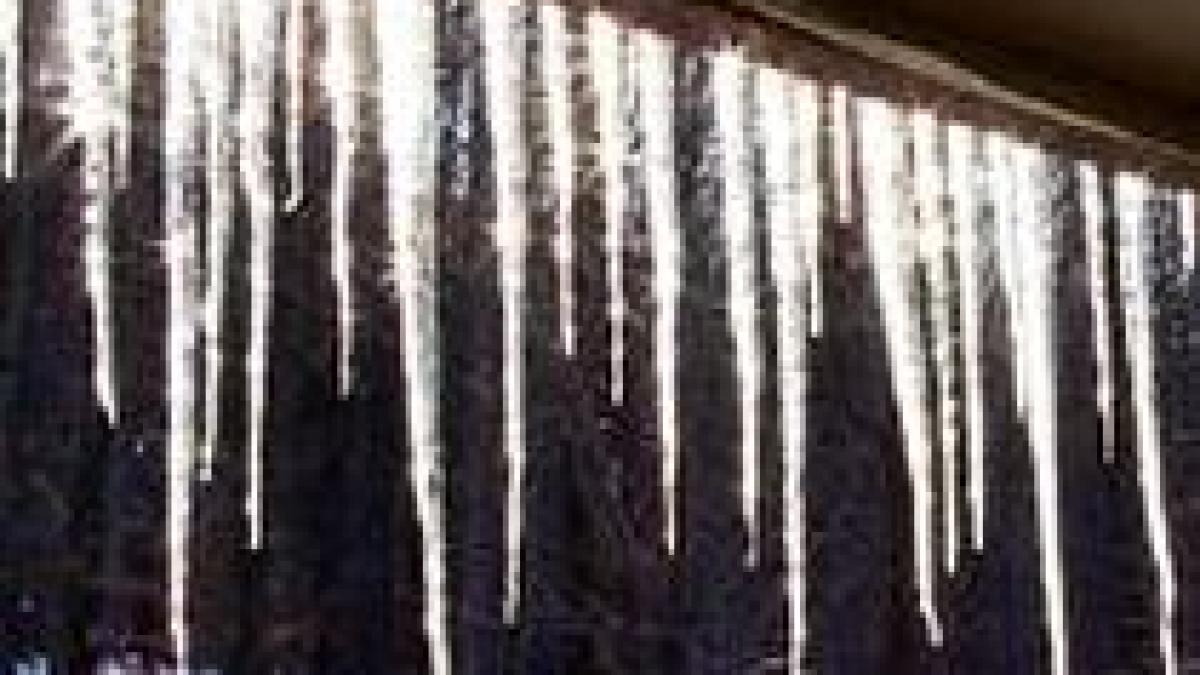 iarna continua sa faca victime 13 romani au murit din cauza frigului