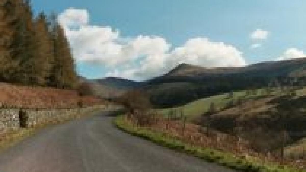 libera circulatie a romanilor si bulgarilor atac asupra economiei elvetiei