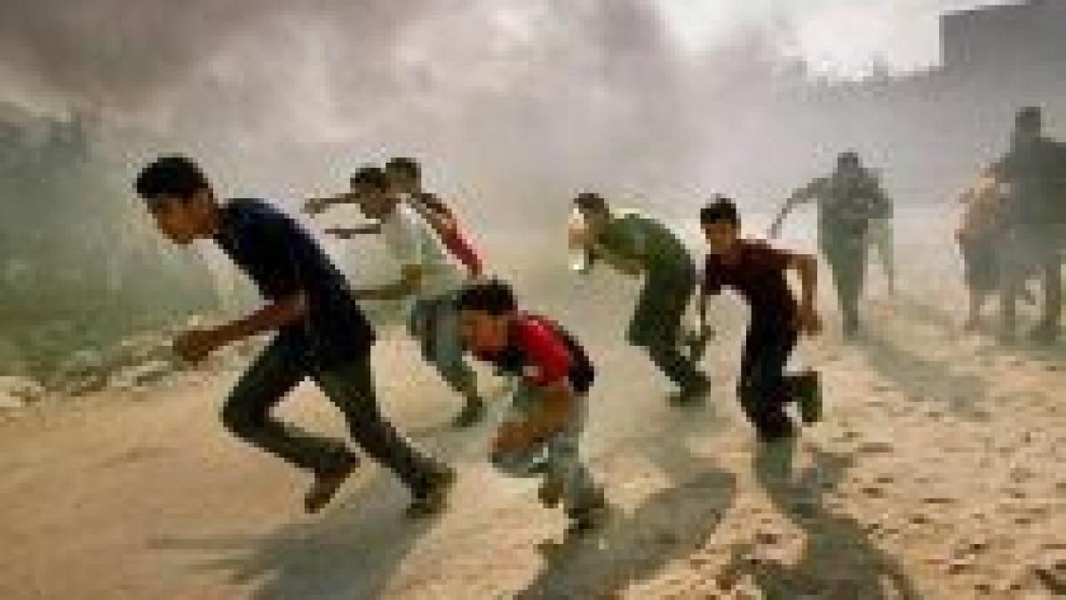 bloggerii cronicarii razboiului din fasia gaza