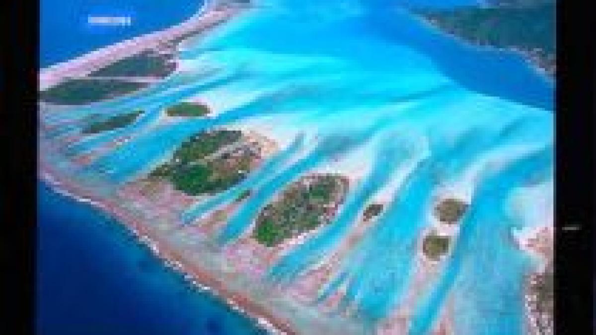 samsung va prezenta la ces 2009 cel mai subtire televizor din lume