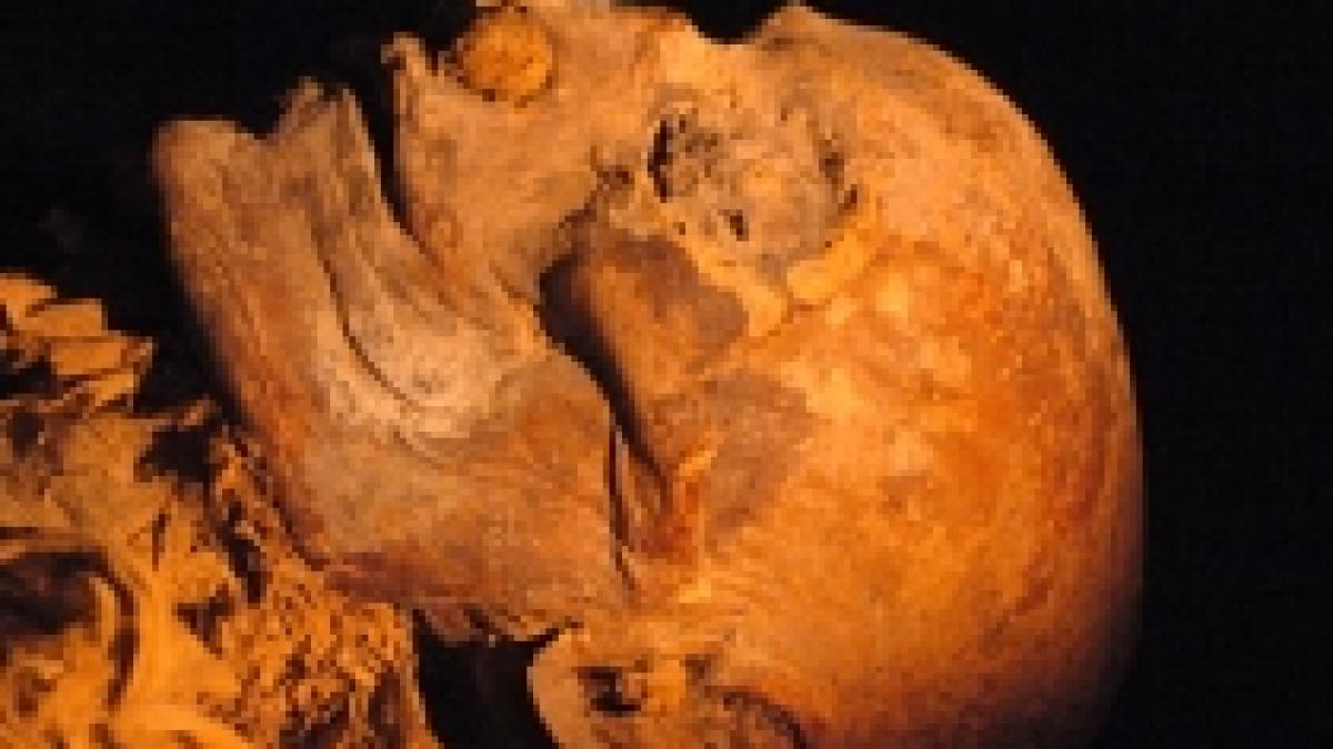 mumia reginei sesheshet mama faraounul teti descoperita in egipt